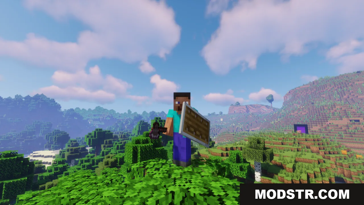 Player holds shield lowered by side in third person view