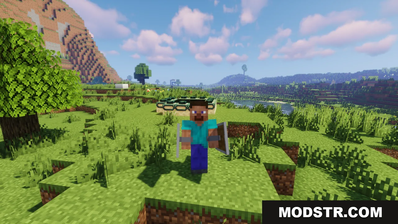 Player holding shields in both hands in third person view