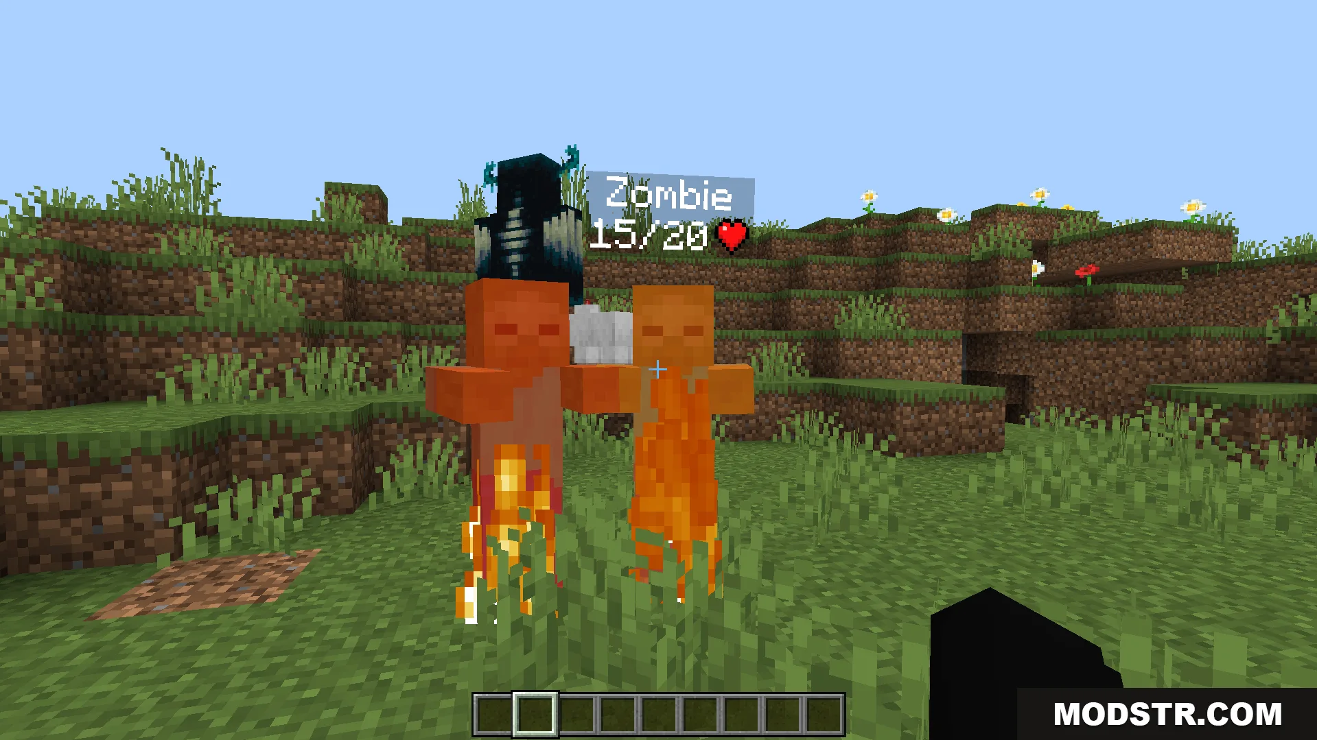 Simple Health Indicator Addon Screenshot 4 Two burning zombies with floating health bars and red heart icons in Minecraft