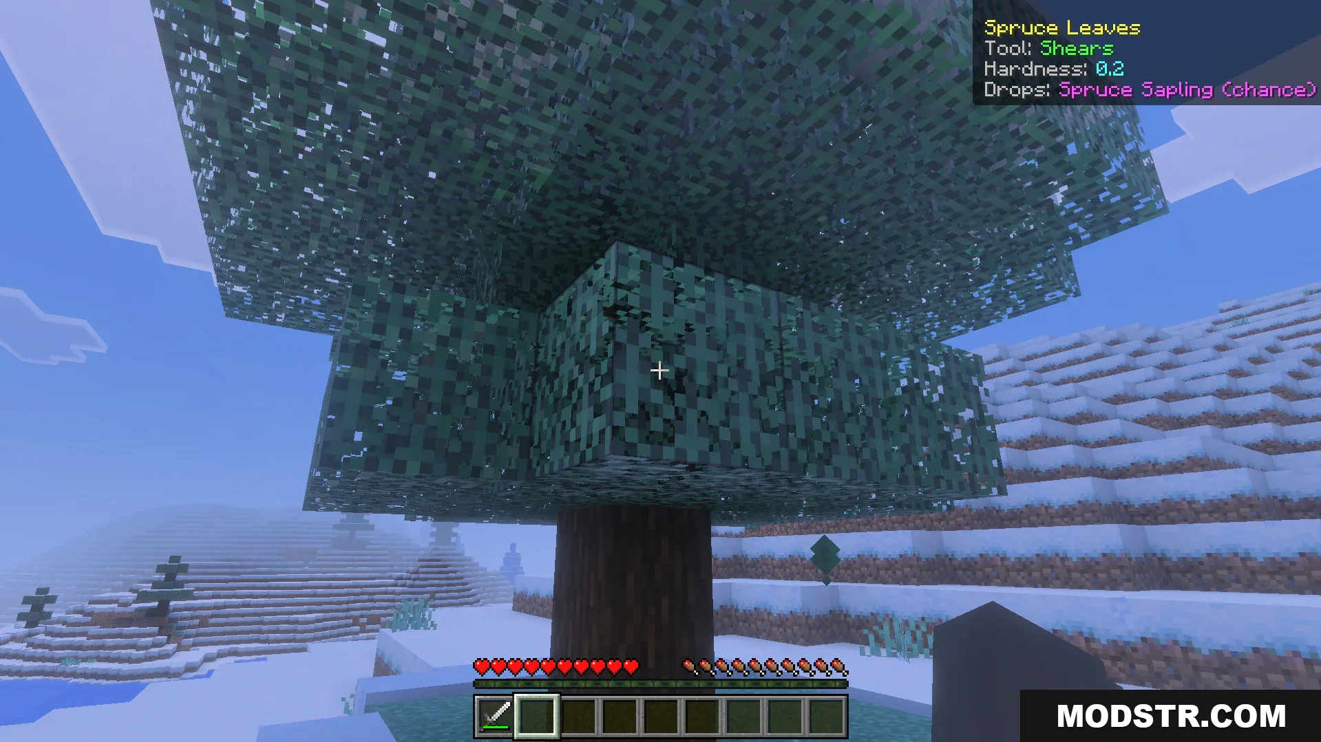Simple What Am I Looking at Addon Screenshot 3 Simple What Am I Looking At Addon showing block details for spruce leaves