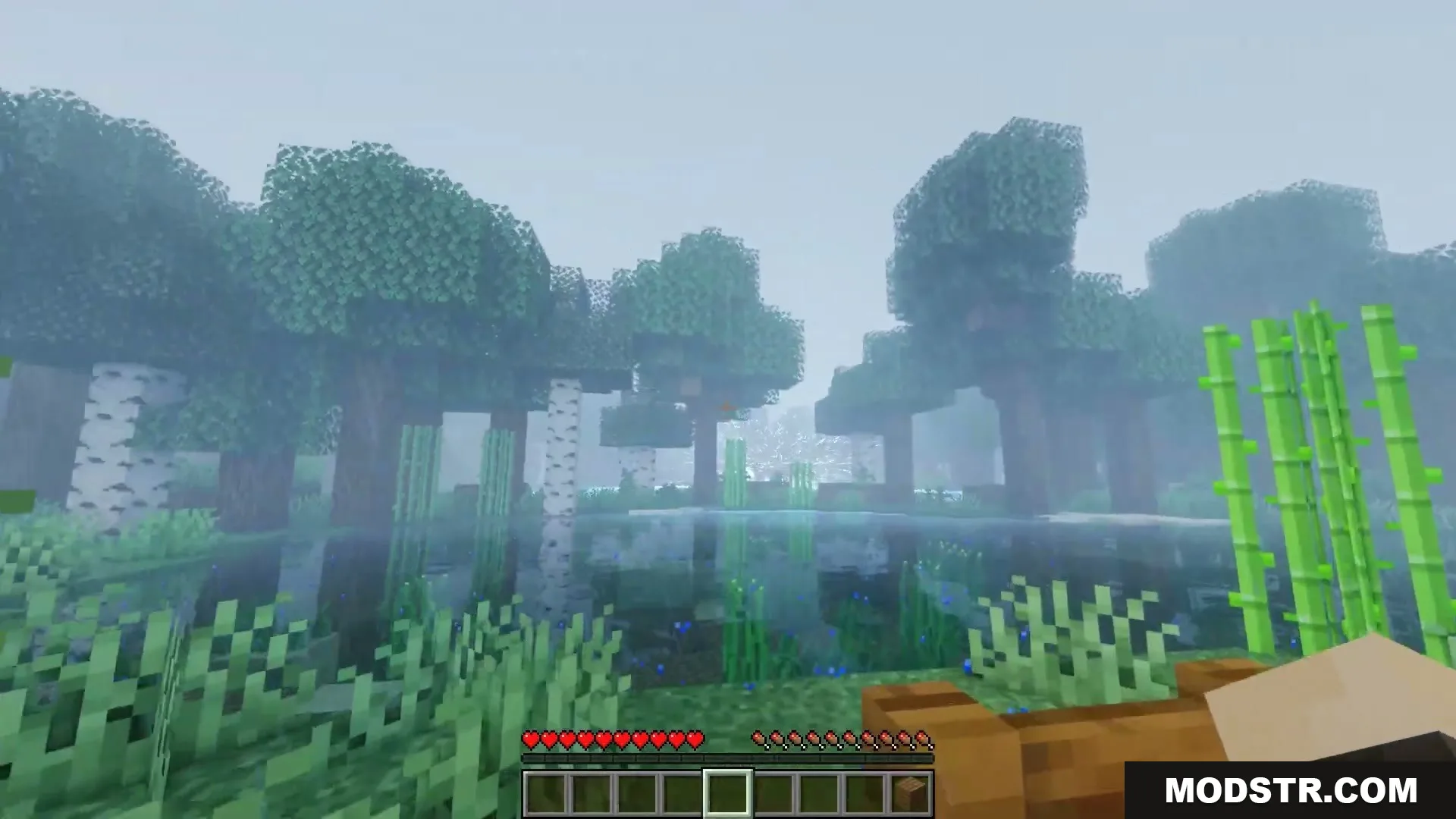 Skybolt Resonance Mod Screenshot 7 A foggy Minecraft landscape featuring a lake surrounded by trees and bamboo