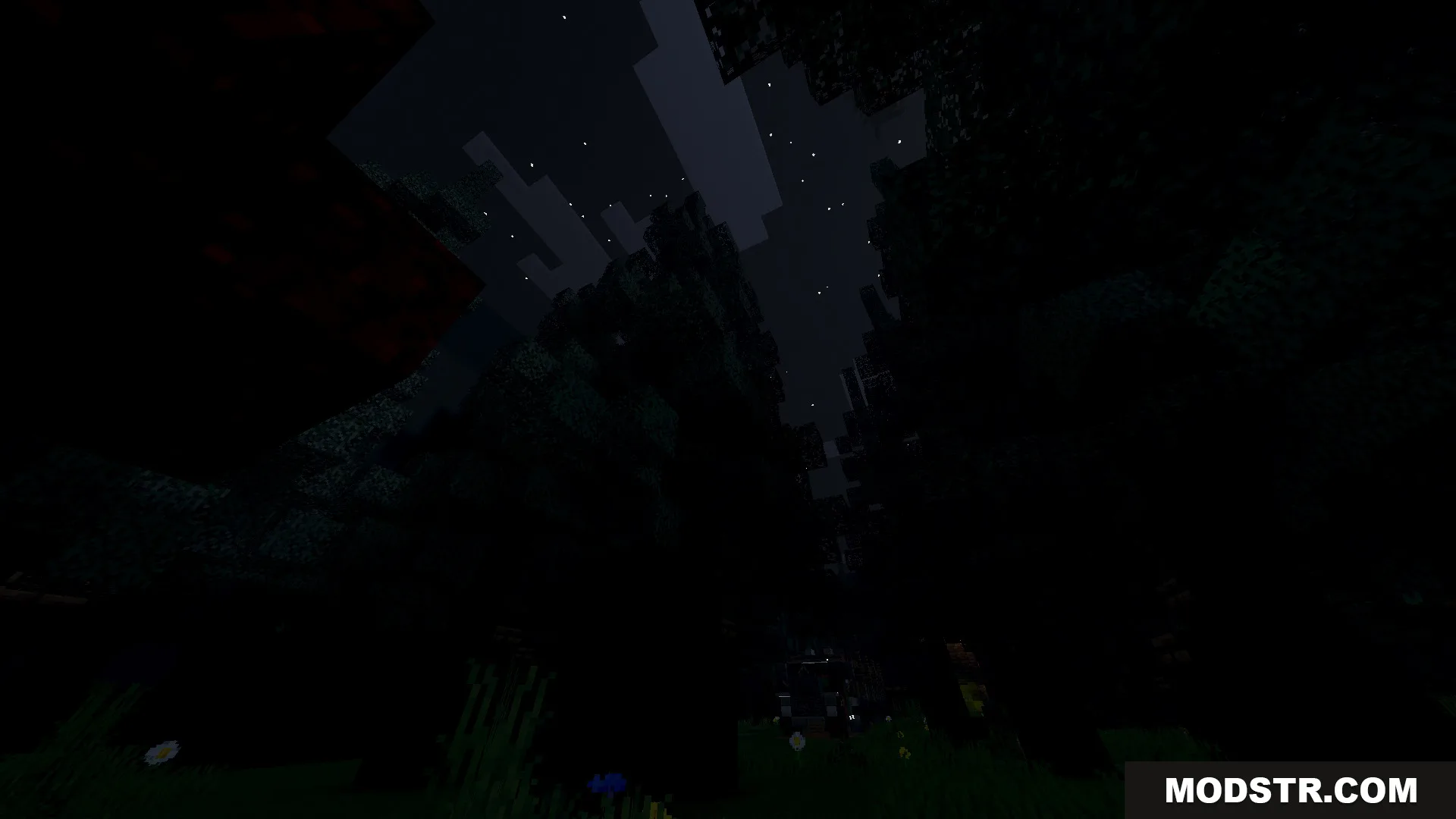 Slenderman Online Map Screenshot 10 Dark forest at night with stars visible through the tall tree canopy