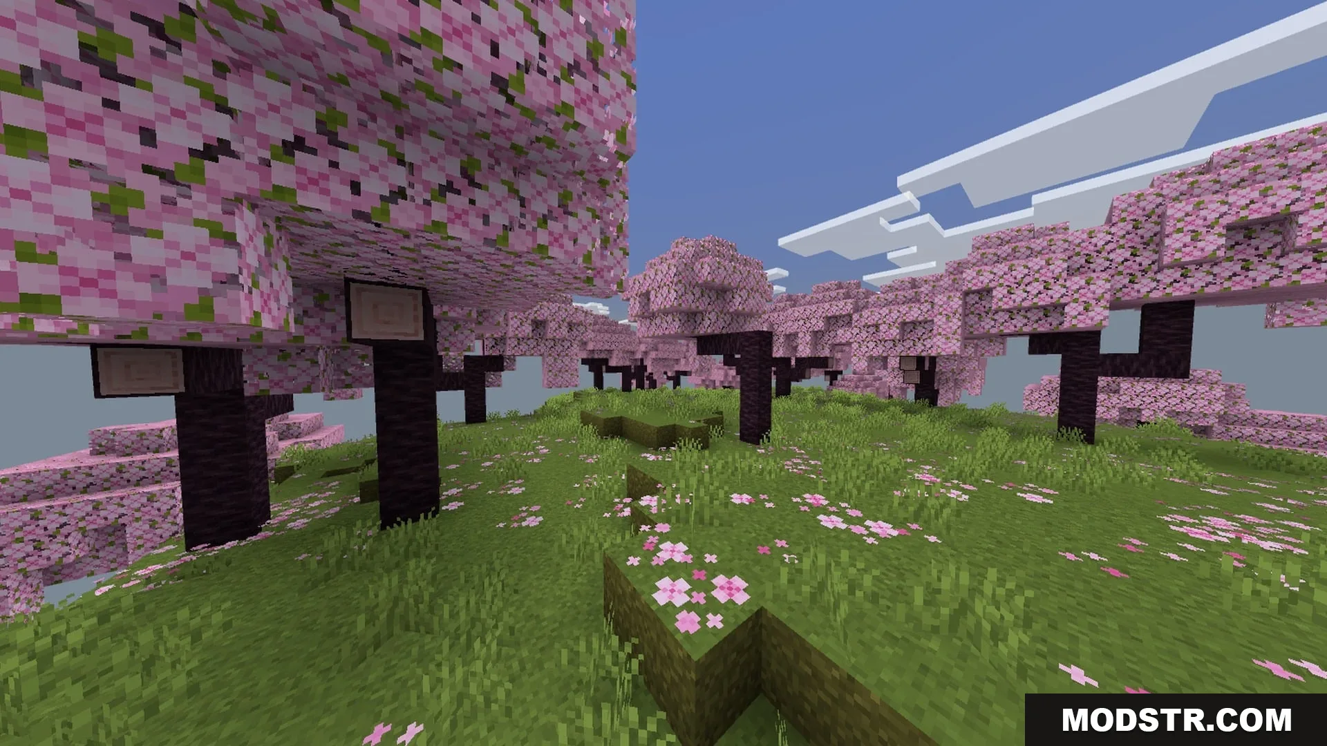 SMOOTH FPS PLUS Shader Screenshot 1 A vibrant cherry blossom biome featuring pink trees and clear blue skies