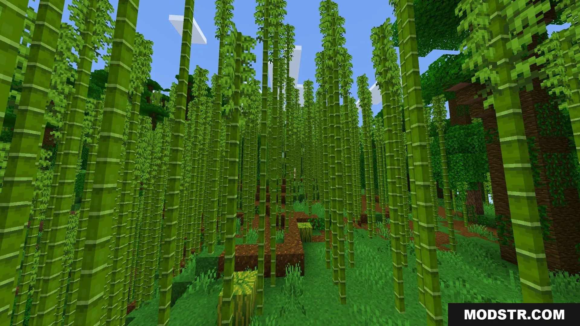 SMOOTH FPS PLUS Shader Screenshot 5 Dense bamboo forest with clear visibility and no fog in the distance