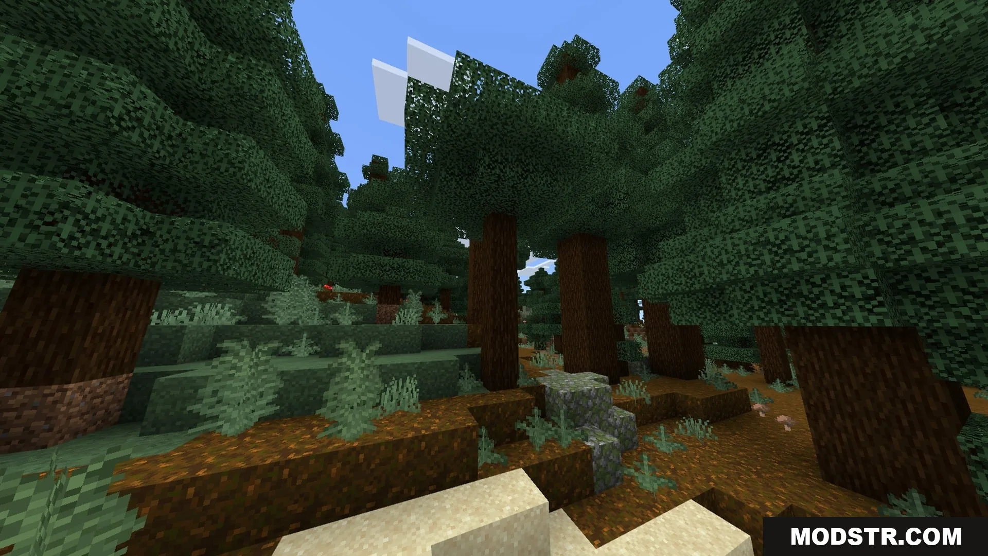 SMOOTH FPS PLUS Shader Screenshot 3 Spruce forest biome with tall trees and clear visibility under a blue sky