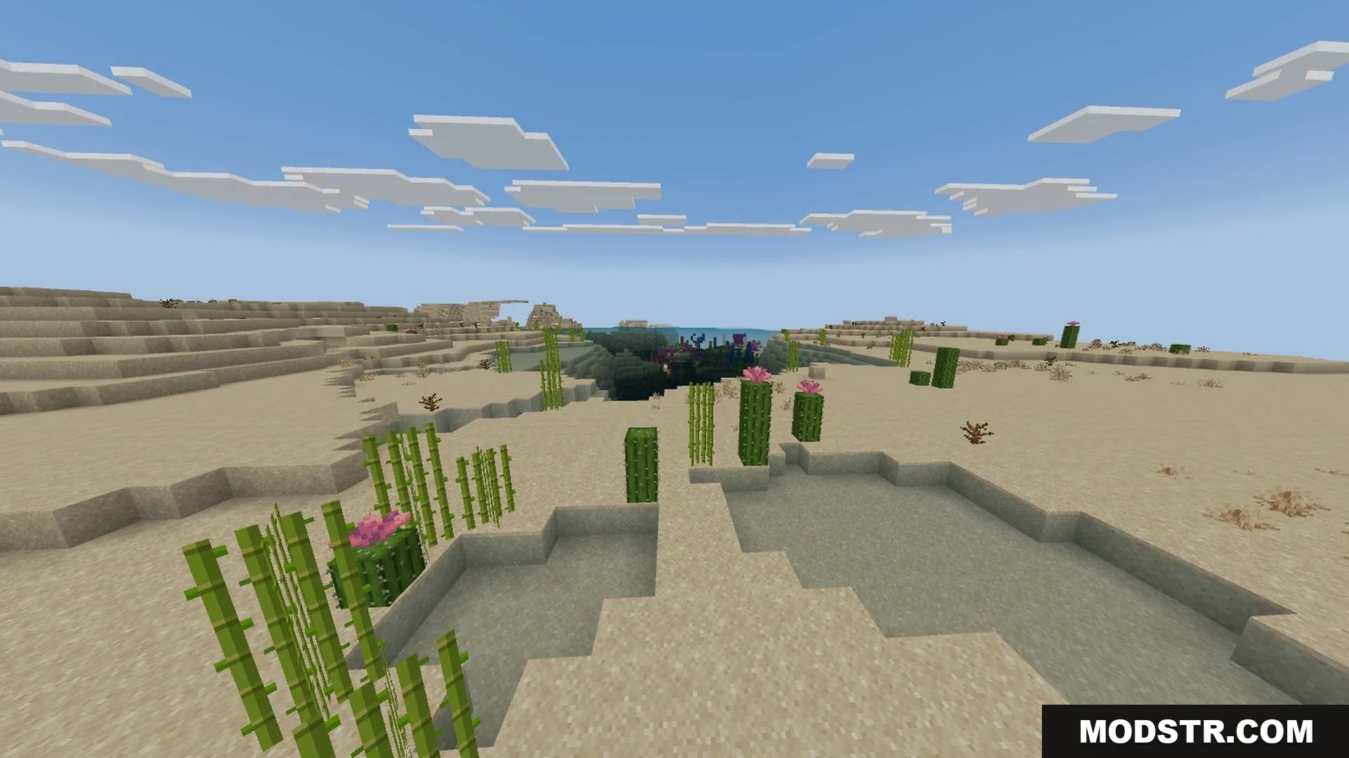 SMOOTH FPS PLUS Shader Screenshot 4 Desert biome with cacti and sugar cane showing clear water without any fog