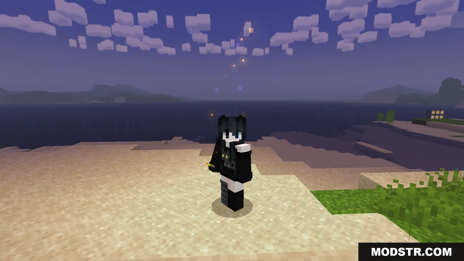 Player standing on a beach at night holding a torch in their offhand
