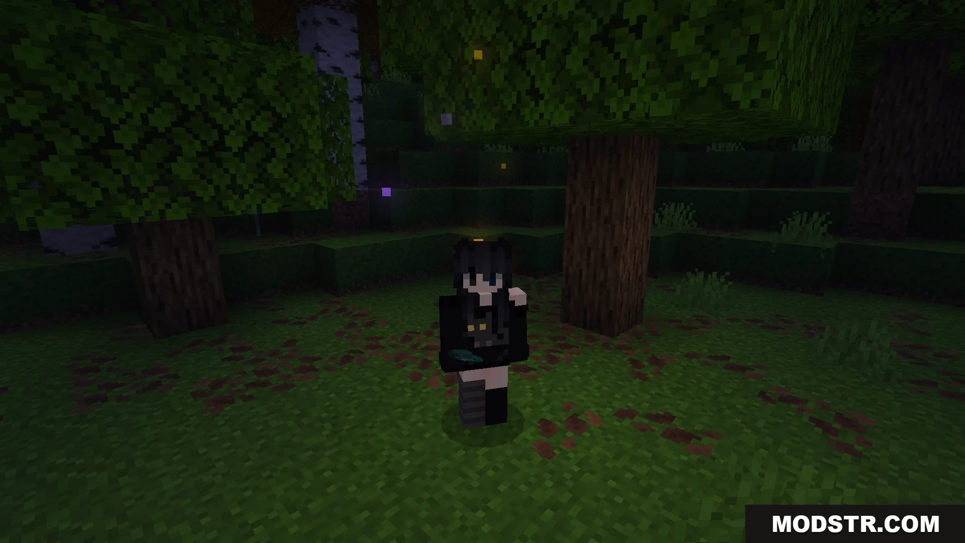 Player character standing in a dark forest holding a glowing item