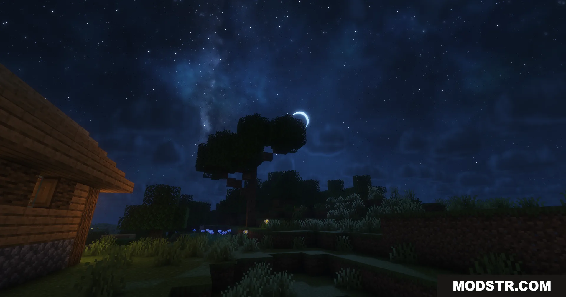 A peaceful night scene featuring a crescent moon and a starry sky
