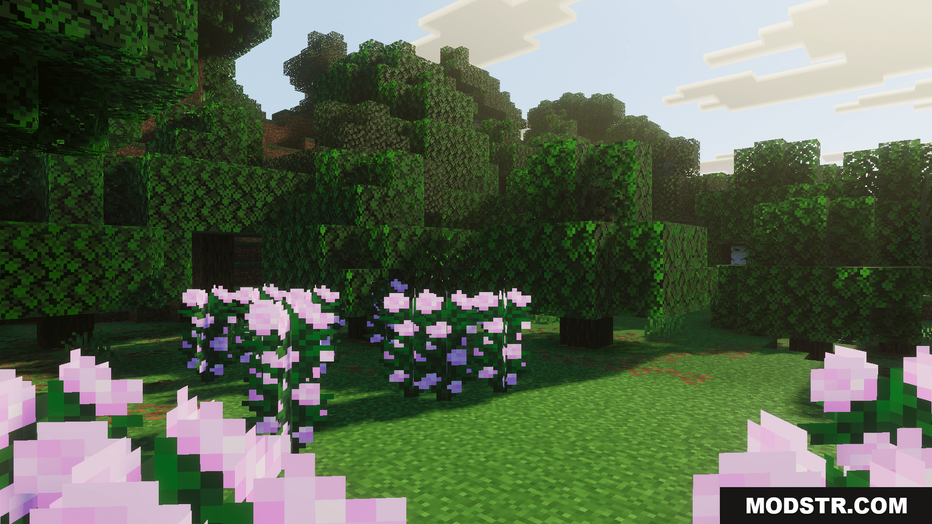 Solar Shaders Screenshot 3