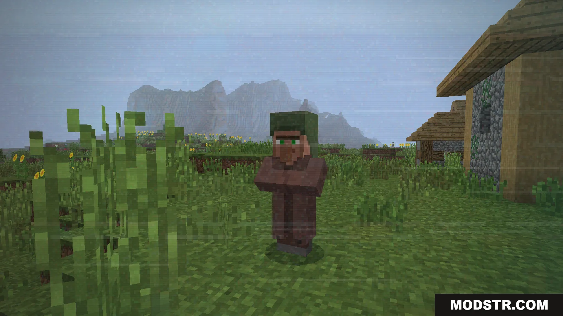 Some.sunny.day Addon Screenshot 5 Villager standing in grassy field near house in rain