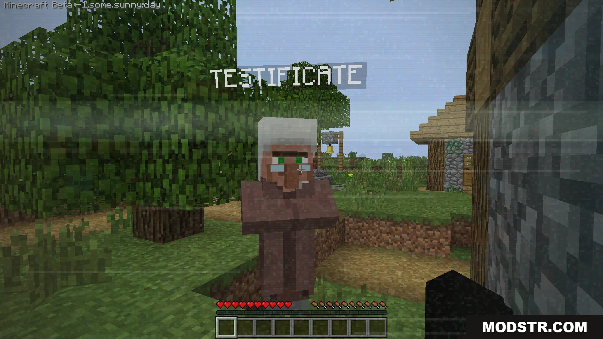 Some.sunny.day Addon Screenshot 2 Player looking at testificate villager while experiencing creepy visual static screen effects