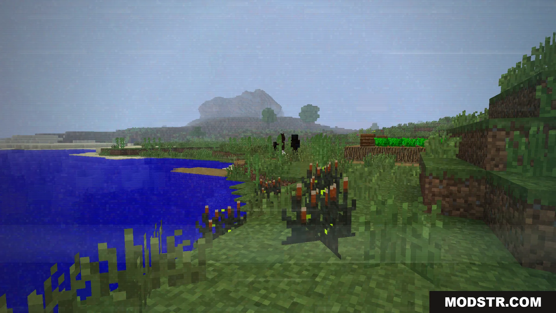 Some.sunny.day Addon Screenshot 7 creepy dark entity standing in a foggy corrupted landscape near water