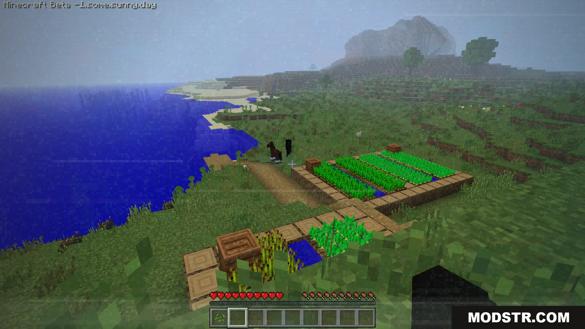 Some.sunny.day Addon Screenshot 6 Player looking at farm plots near ocean coast