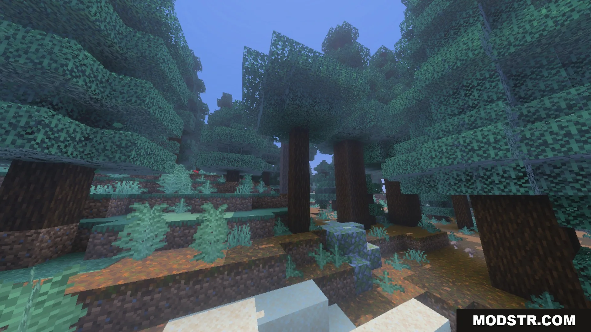 Spectral Horizons Shader Screenshot 7 Thick atmospheric fog blankets a dense spruce forest with tall trees
