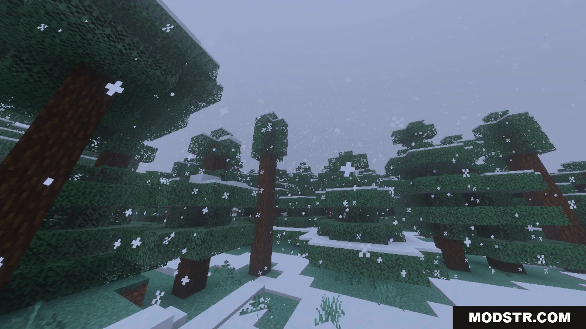 Spectral Horizons Shader Screenshot 10 Peaceful snowy taiga biome with tall spruce trees and falling white snowflakes
