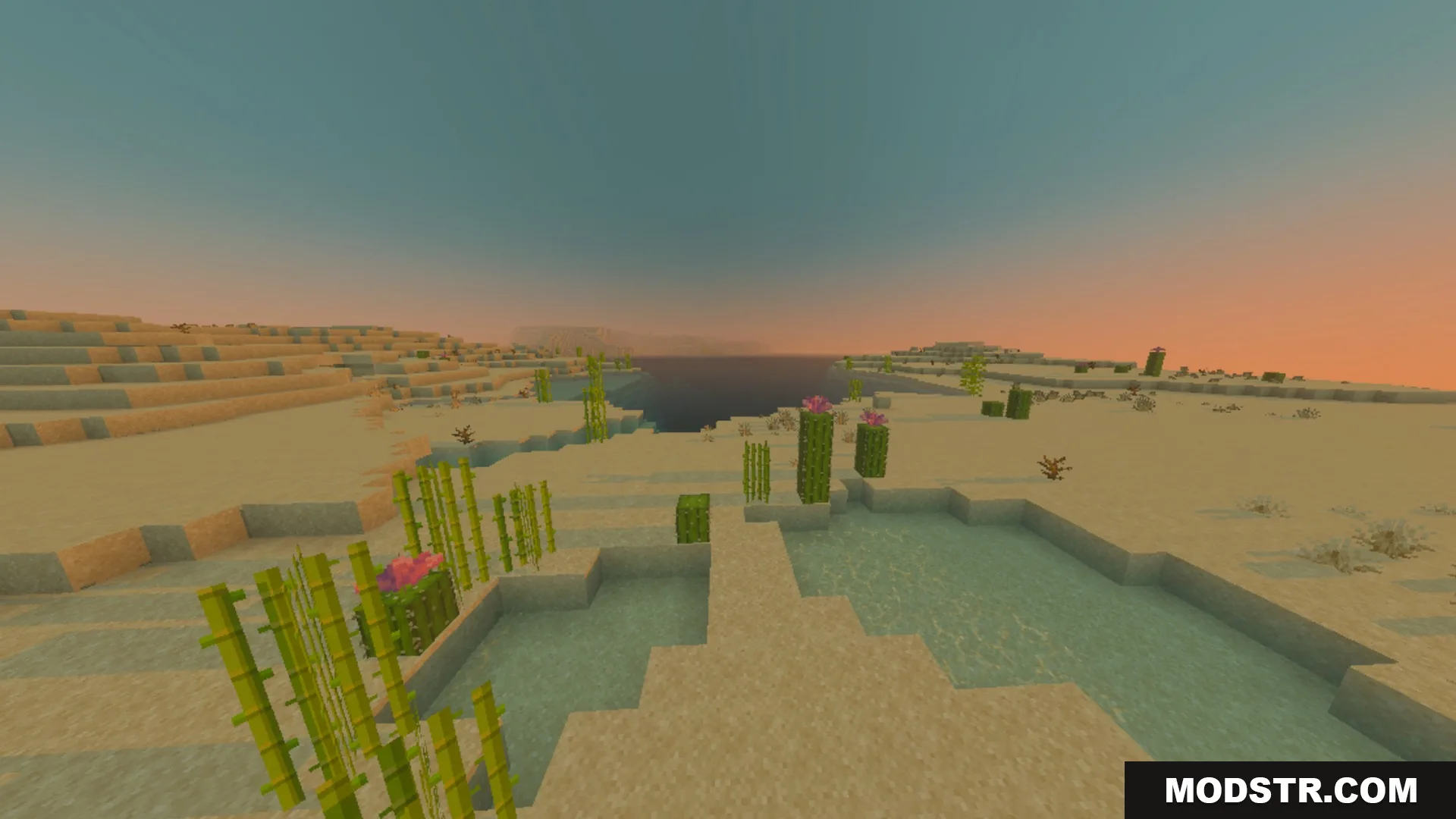 Spectral Horizons Shader Screenshot 8 A desert landscape with cacti and sugarcane under a sunset sky