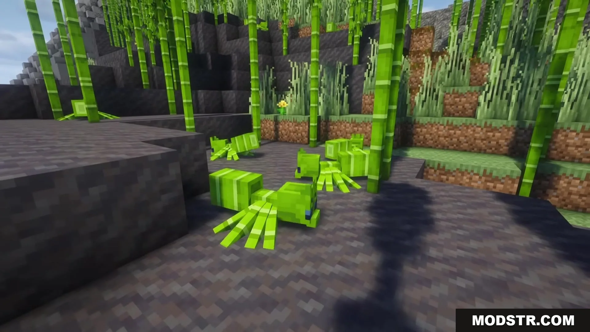 Spider Overhaul Mod Screenshot 1 Green jungle spiders camouflaged as bamboo crawling on the ground in Minecraft