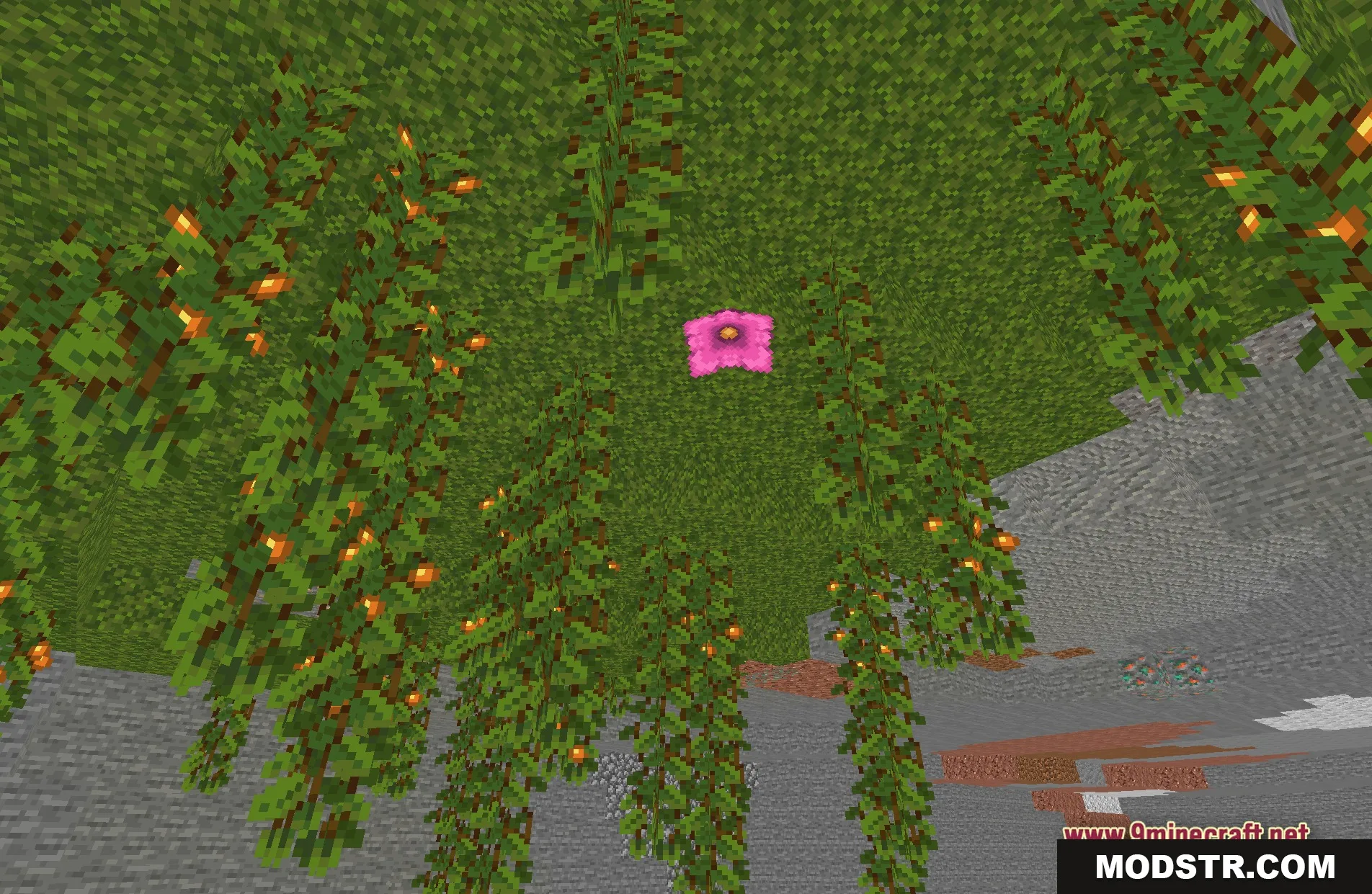 Spirit Shaders Screenshot 6