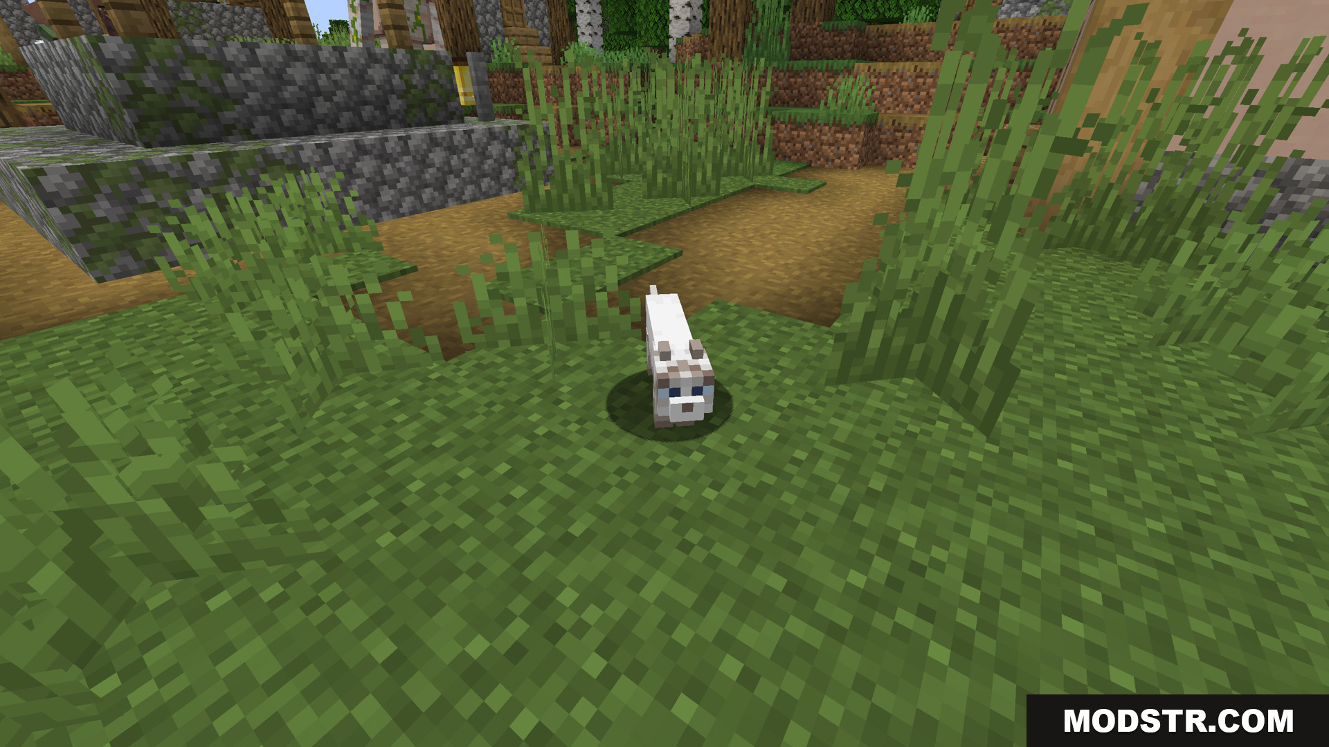 Stoprendering Mod Screenshot 4 A white wolf sitting in a grassy area