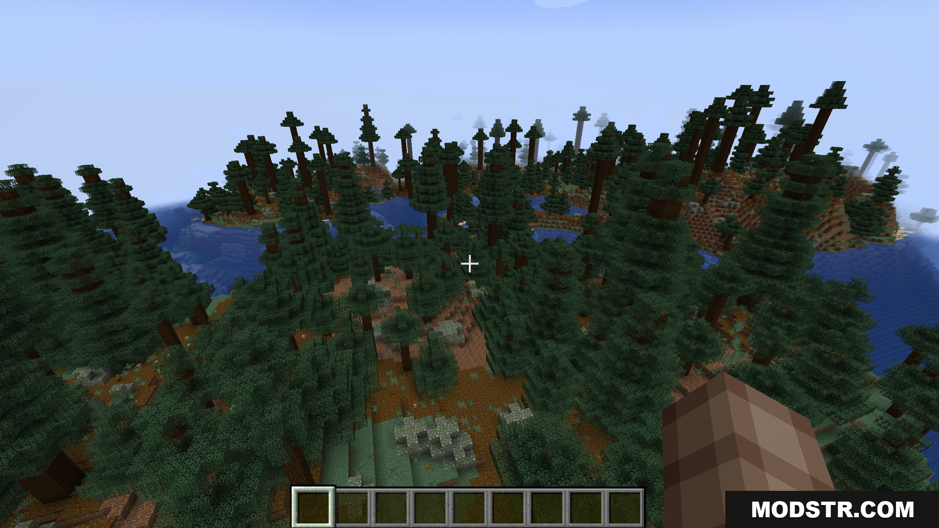 Stoprendering Mod Screenshot 2 A vast taiga biome with tall spruce trees