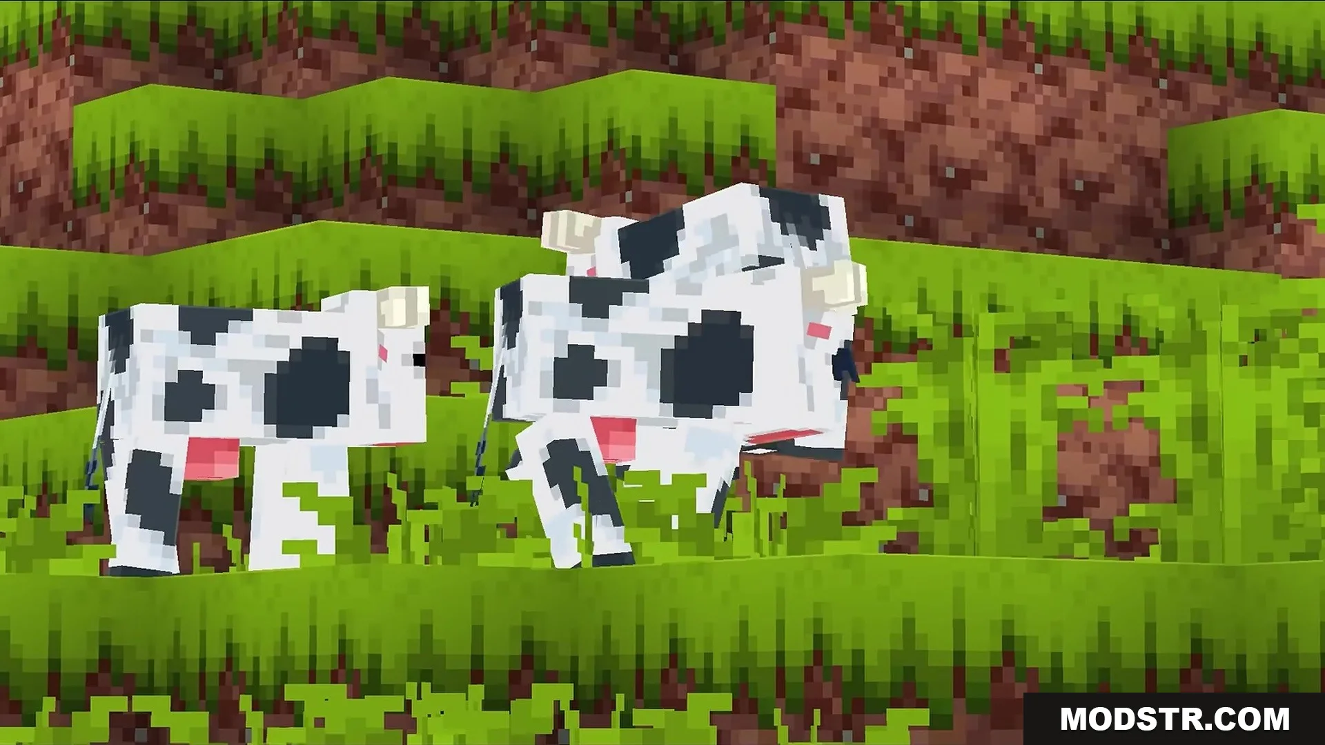 Stupendous Visuals Resource Pack Screenshot 9 Two black and white cows standing on a vibrant green grassy hill