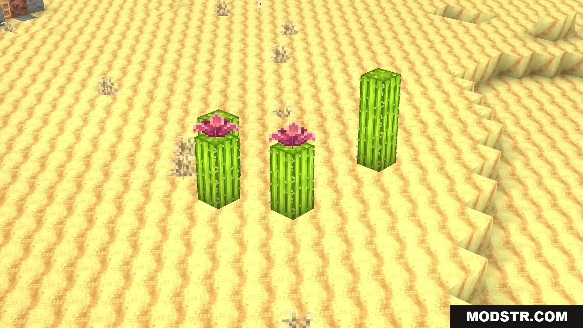 Stupendous Visuals Resource Pack Screenshot 5 Stupendous Visuals Resource Pack adds bright pink flowers to desert cacti blocks