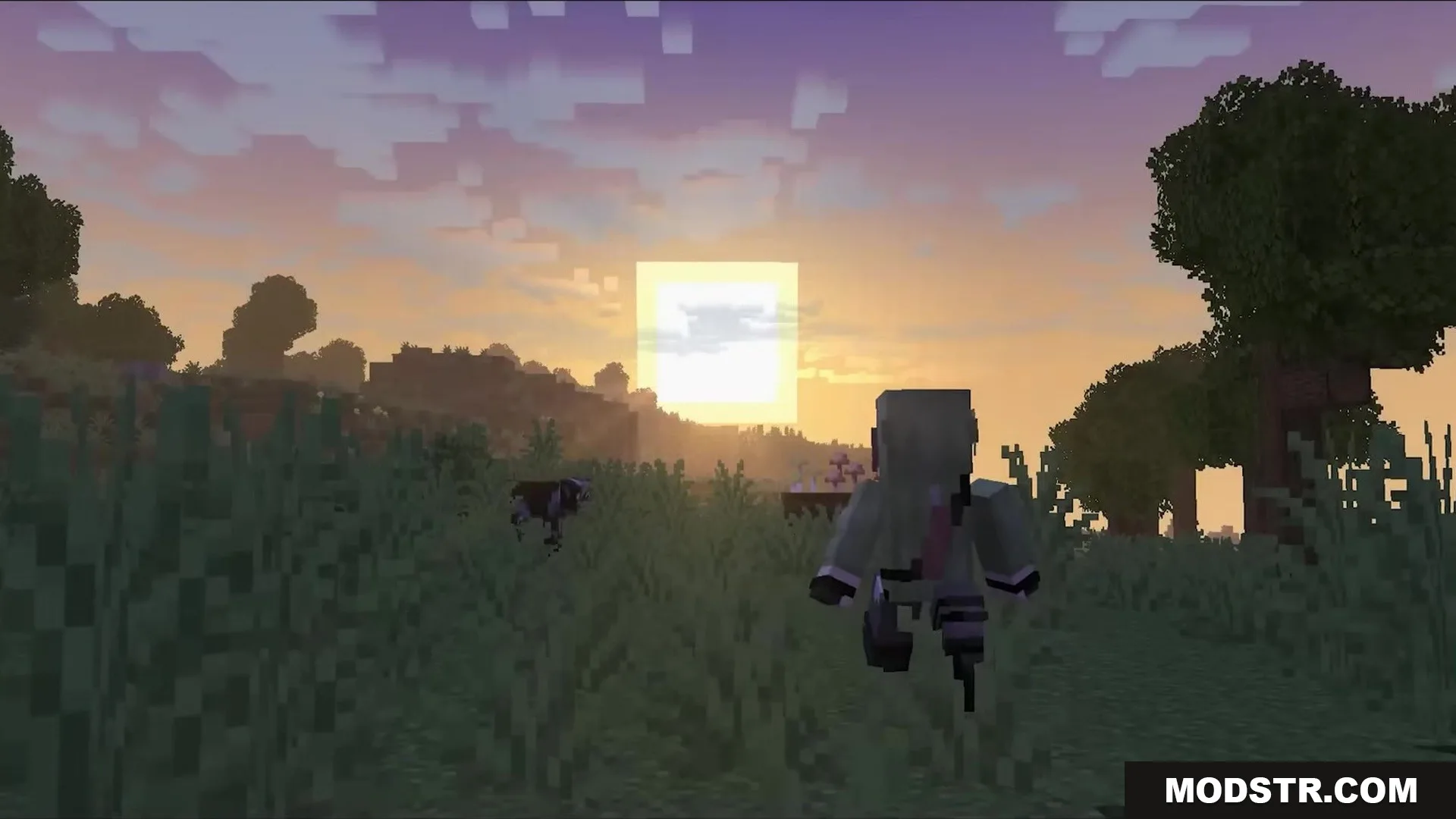 Sunbathing Godrays Resource Pack Screenshot 7 A player character walking through tall grass during a beautiful Minecraft sunset