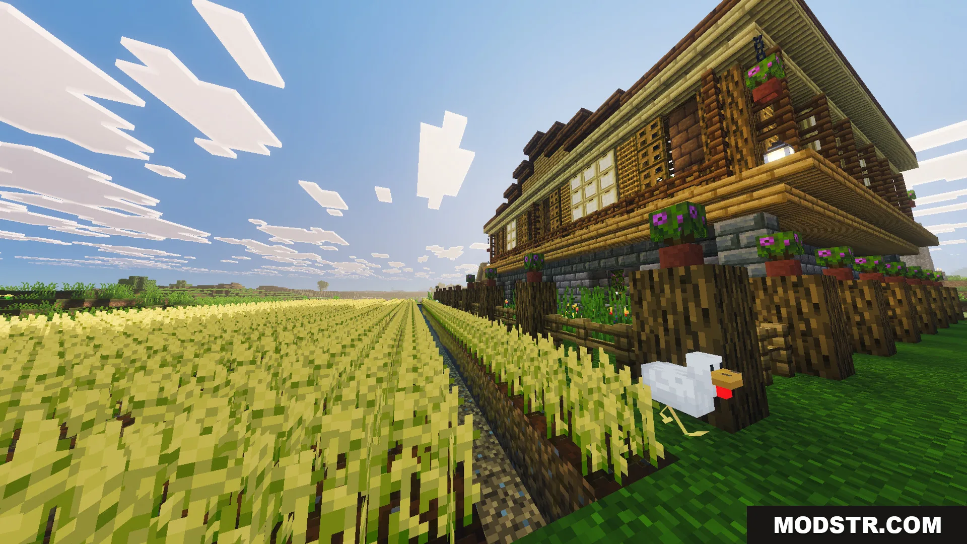 Large two story wooden house with a stone foundation and a wheat farm