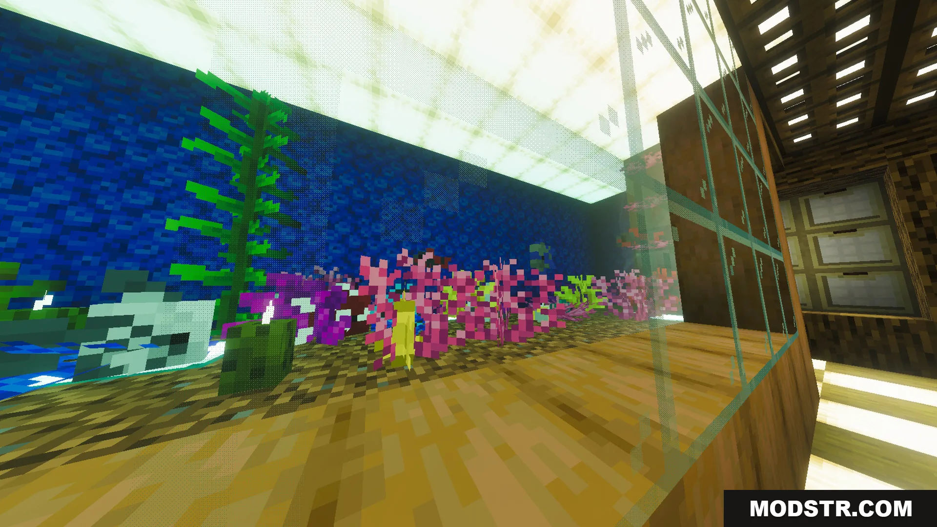 Beautiful dining room featuring a large aquarium with colorful coral and kelp