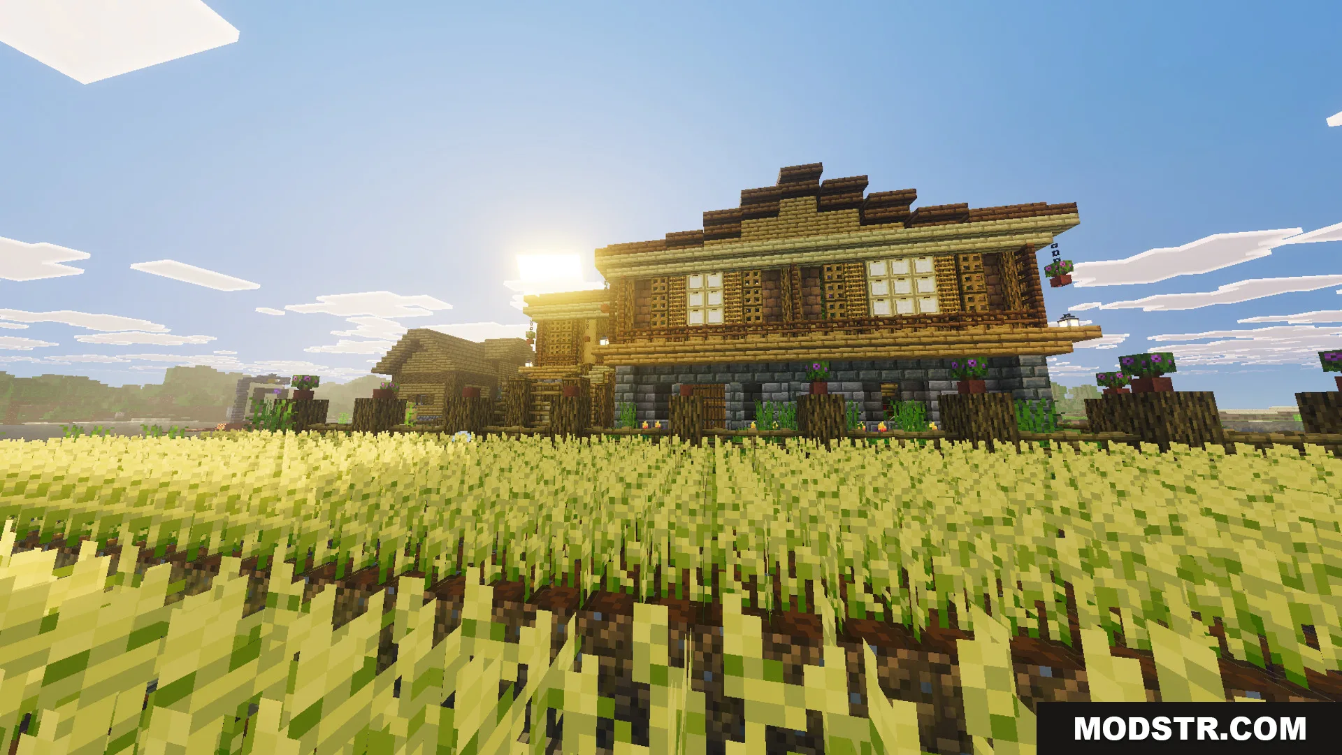 Exterior view of a large two story wooden house with a wheat farm