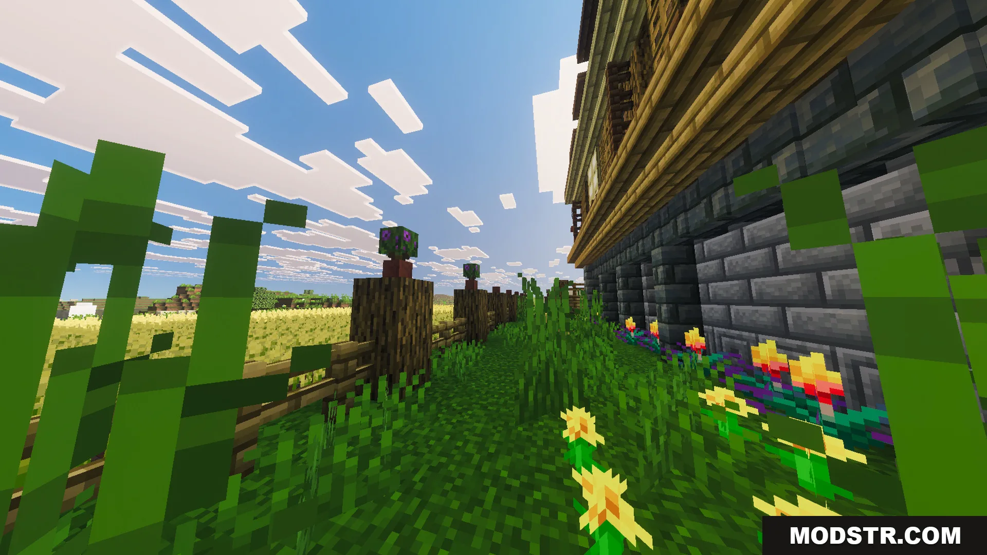 Large two story wooden house with a stone foundation and a wheat farm