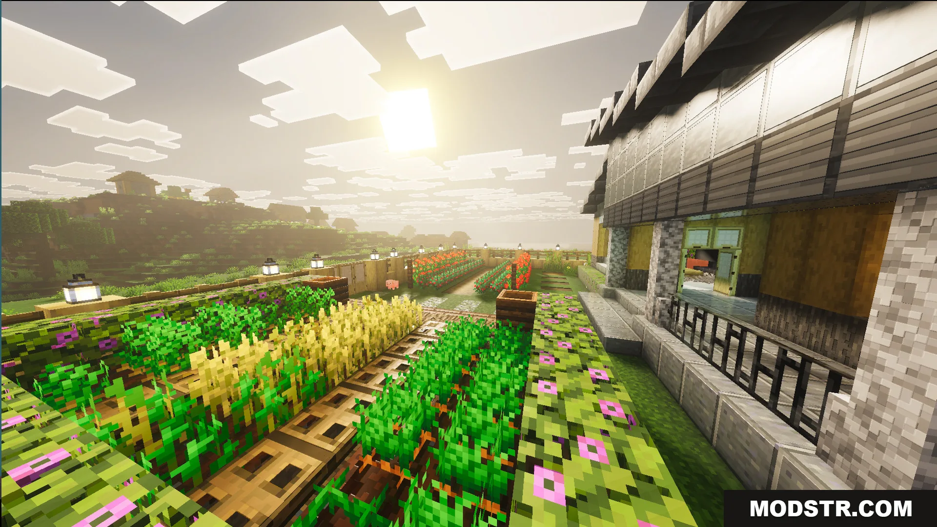 Survival Modern House 19 Map Screenshot 7 A sunny garden with crops in the Survival Modern House 19 Map