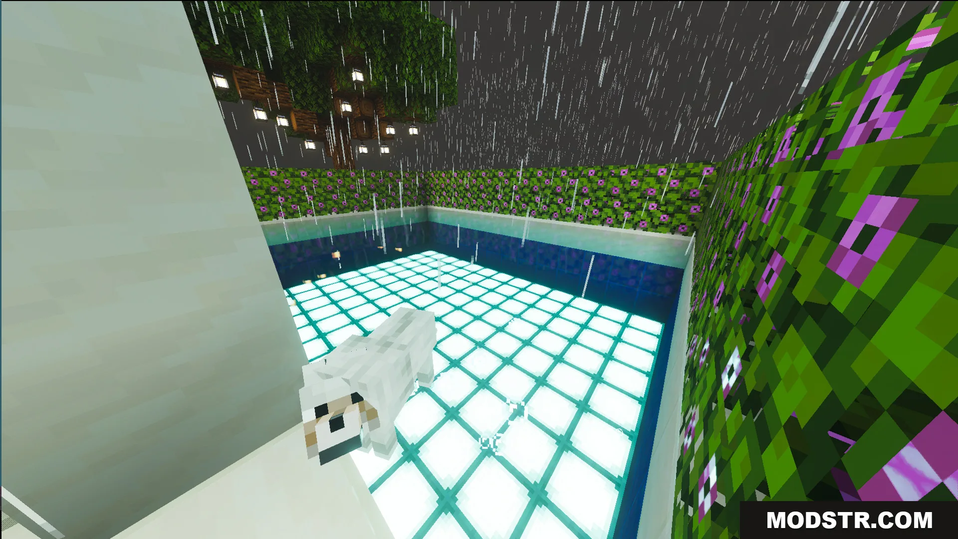 Survival Modern House 35 Map Screenshot 7 A white wolf stands beside a glowing swimming pool in the rain
