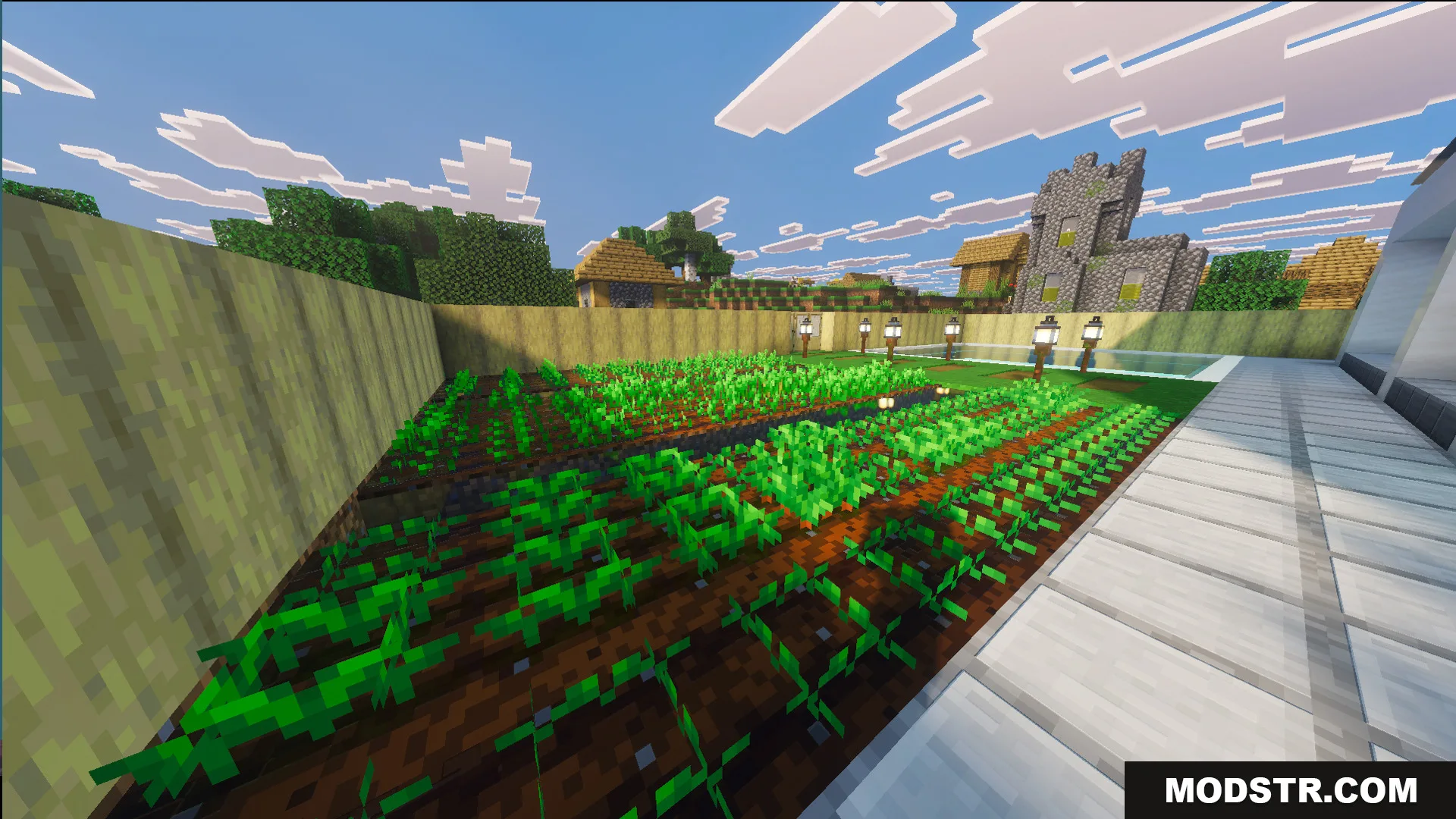 Survival Modern House 44 Map Screenshot 7 Lush garden with crops and a swimming pool outside the Survival Modern House