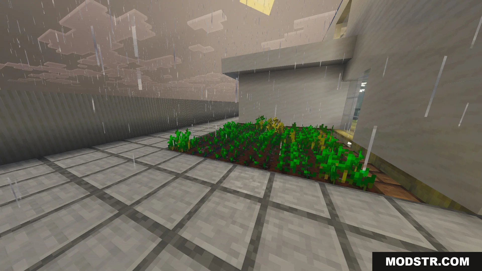 Survival Modern House 79 Map Screenshot 9 A small vegetable garden in the Survival Modern House 79 Map during rain