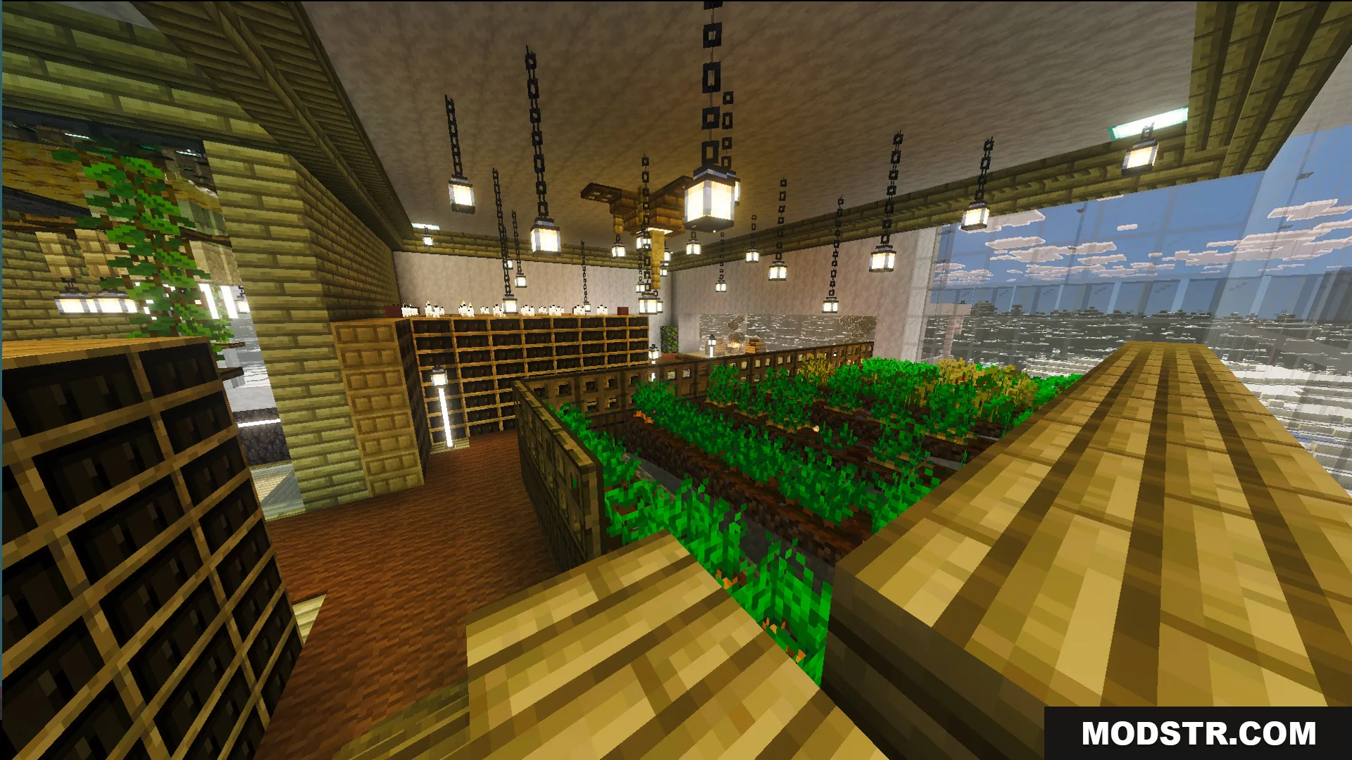 Indoor garden area with growing crops and wooden bookshelves under many lanterns