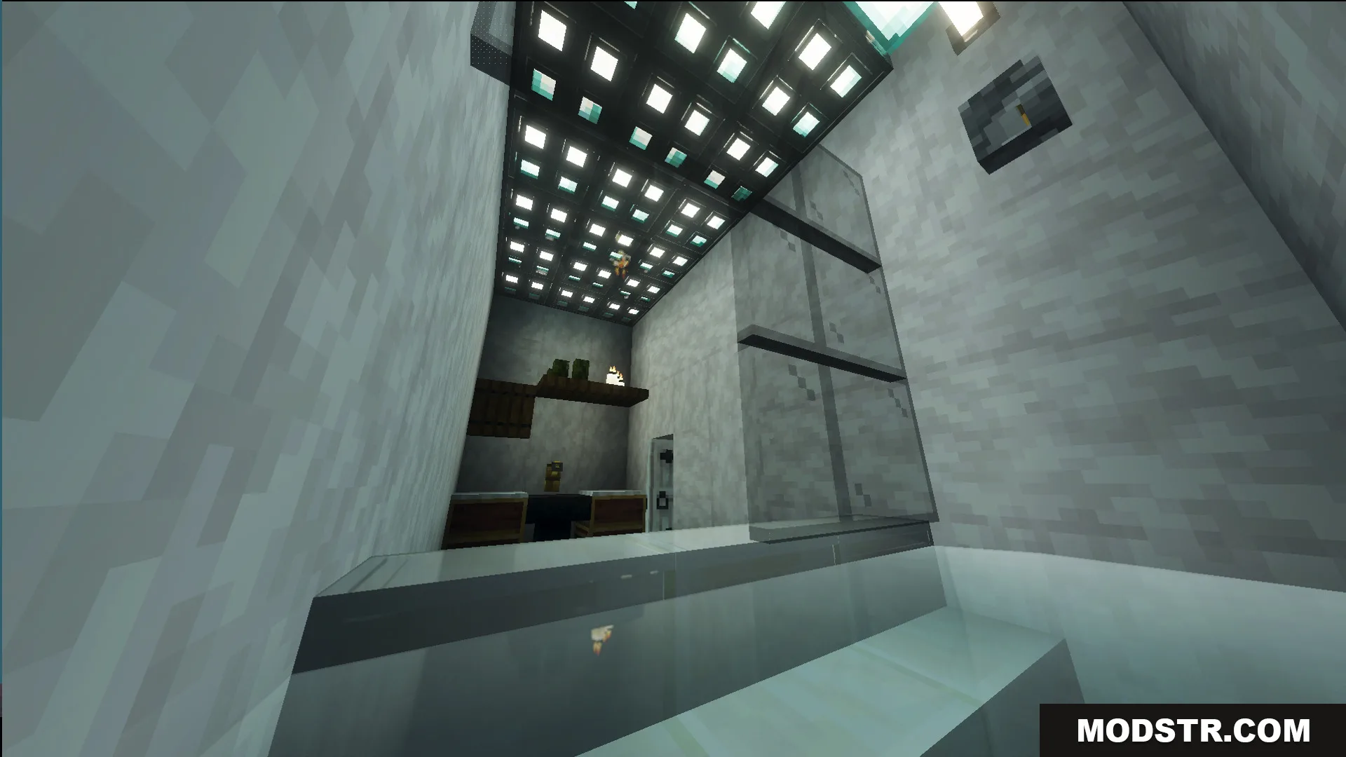 Modern interior with glass partition and grid light ceiling in Survival Modern House