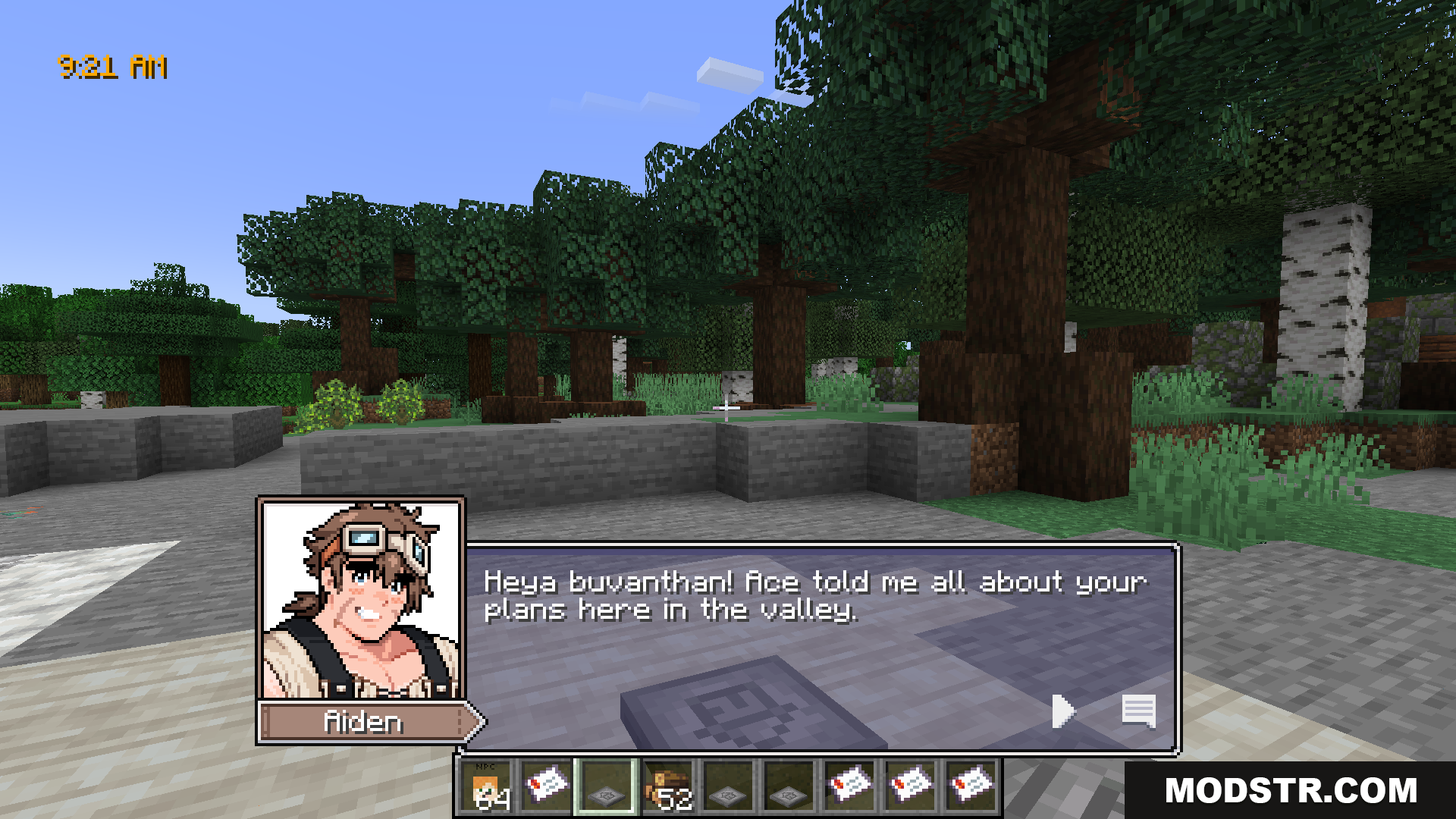 SVDialog Mod Screenshot 2 Aiden talking to player about plans in Sunlit Valley