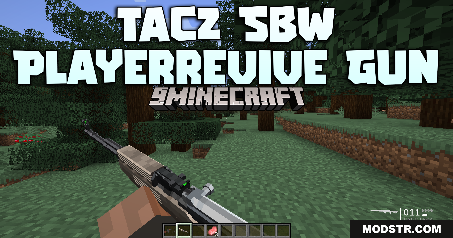 Tacz Sbw Playerrevive Gun Mod