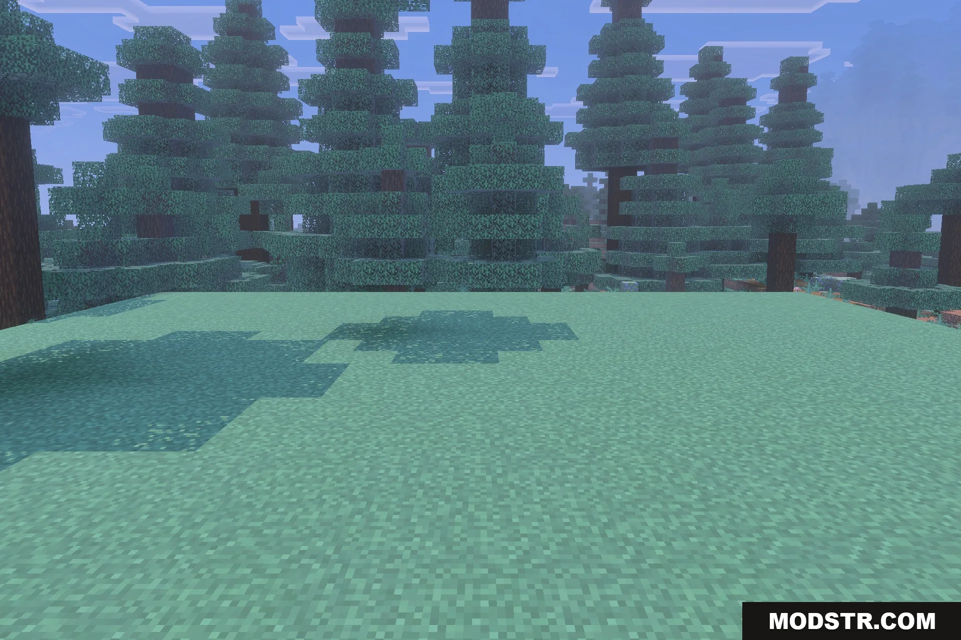 Terrifying Freddy Addon Screenshot 1 A flat grassy clearing in a survival world near a spruce forest