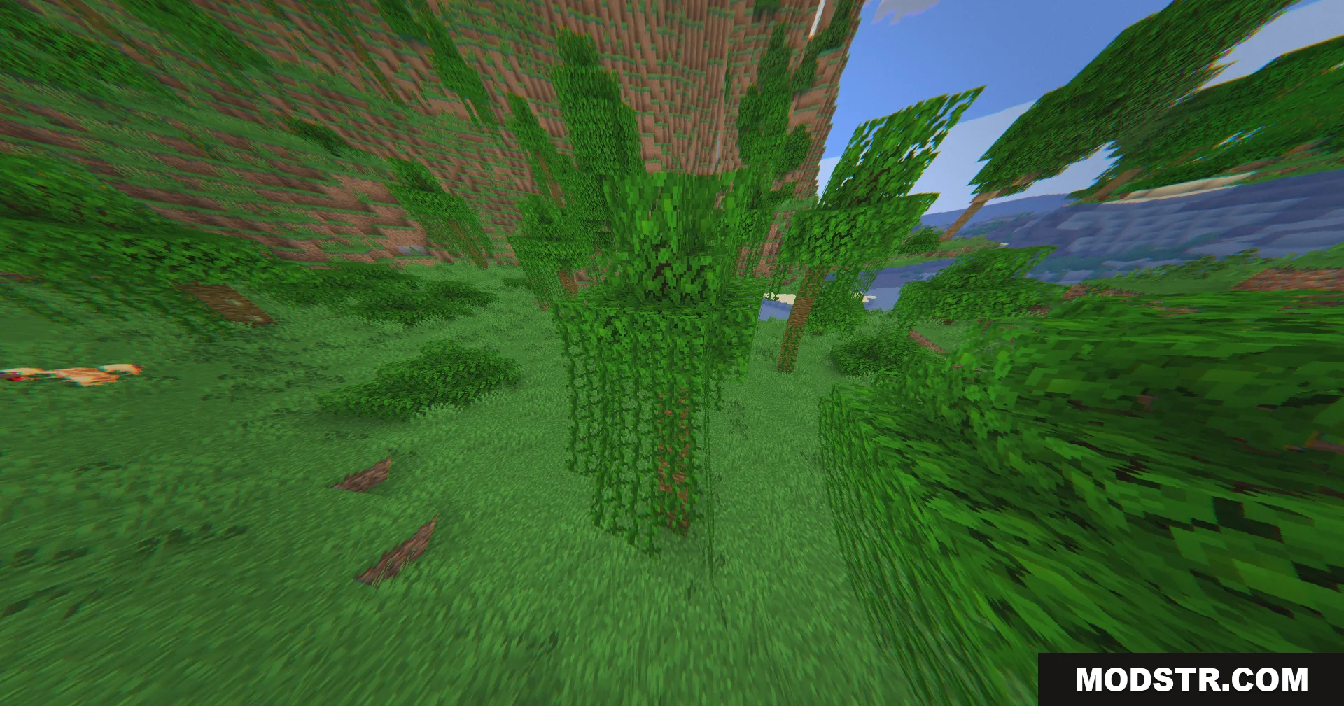 The 360W Shaders Screenshot 2 Lush jungle vines and trees captured with a wide angle camera lens