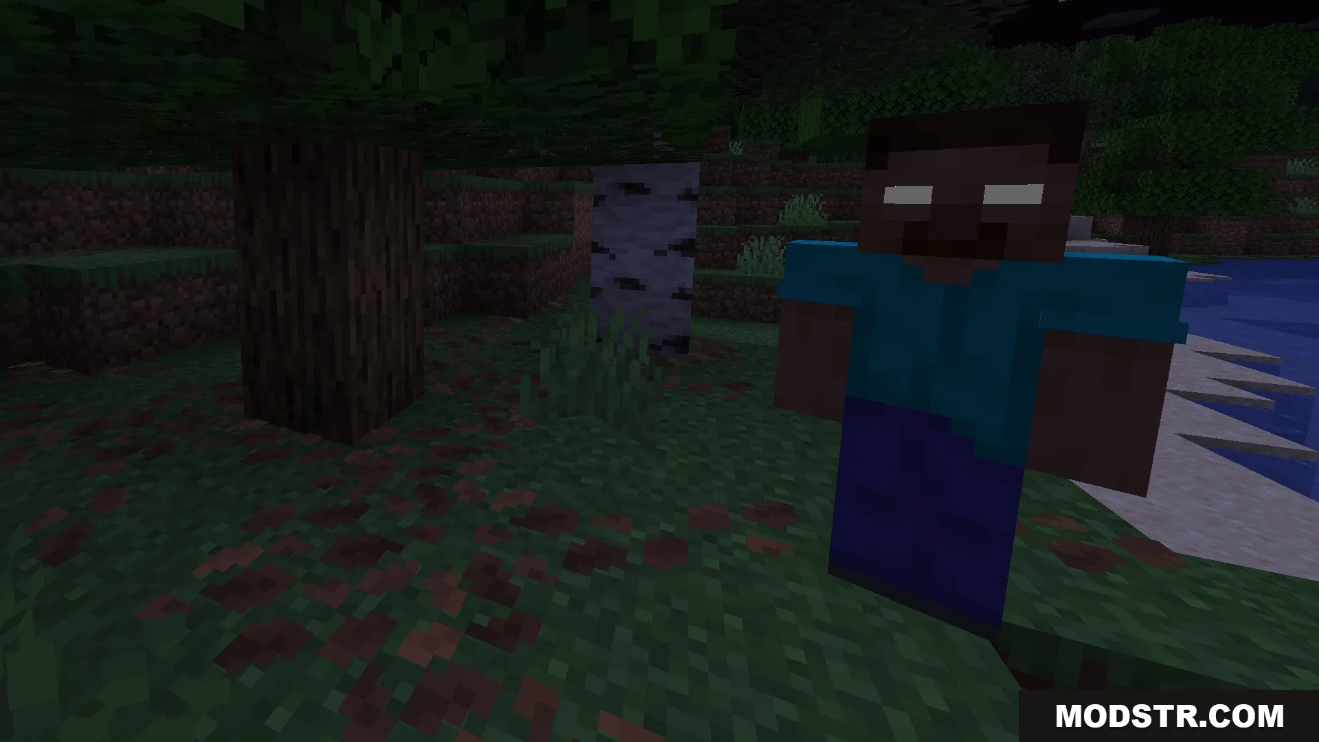 Herobrine with glowing white eyes watches from the shadows of a dark forest