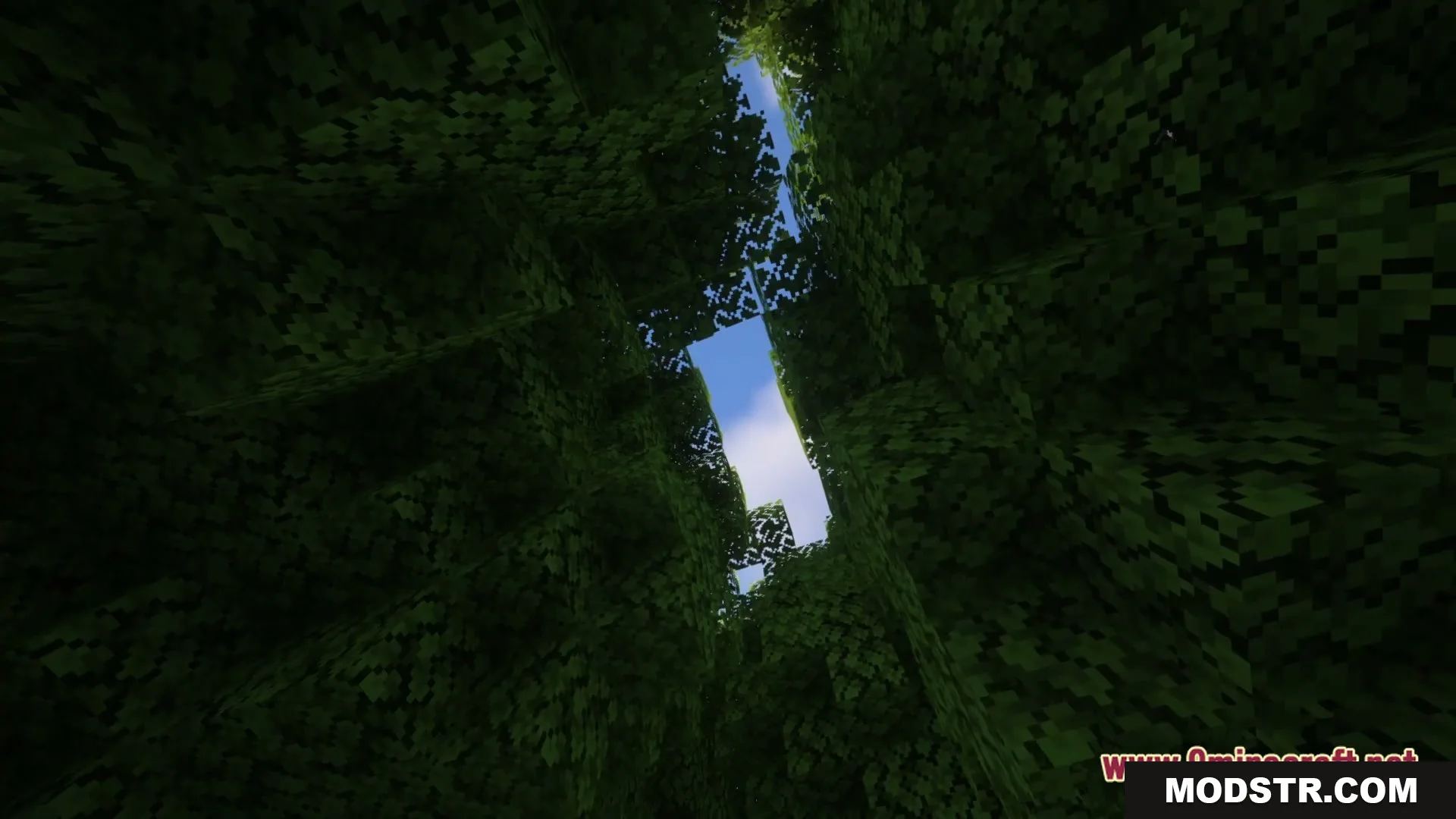 The Maze Runner MAZE! Map Screenshot 3