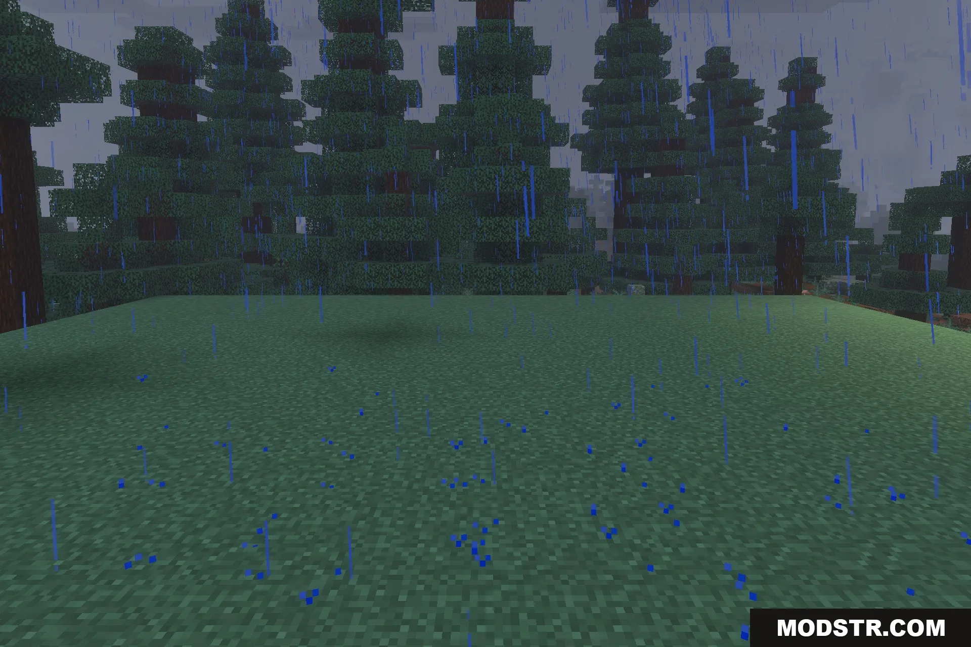 The Mimicer Patch FR Addon Screenshot 1 A mysterious figure stalks the player through a rainy spruce forest biome
