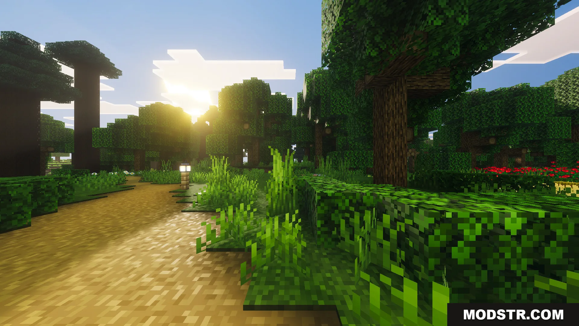 Tiny Takeover Farmstead Map Screenshot 12 Sunlight shines over a dirt path through a lively green landscape with trees
