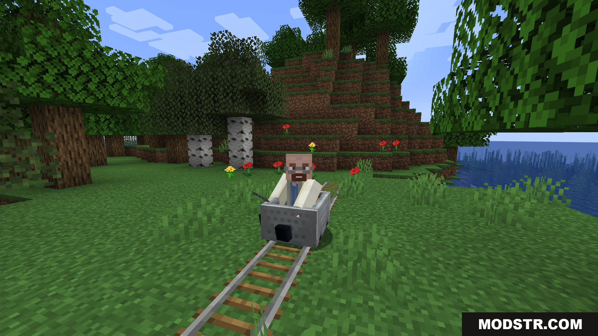 Train Network Optimisations Mod Screenshot 3 A character with a beard riding in a minecart