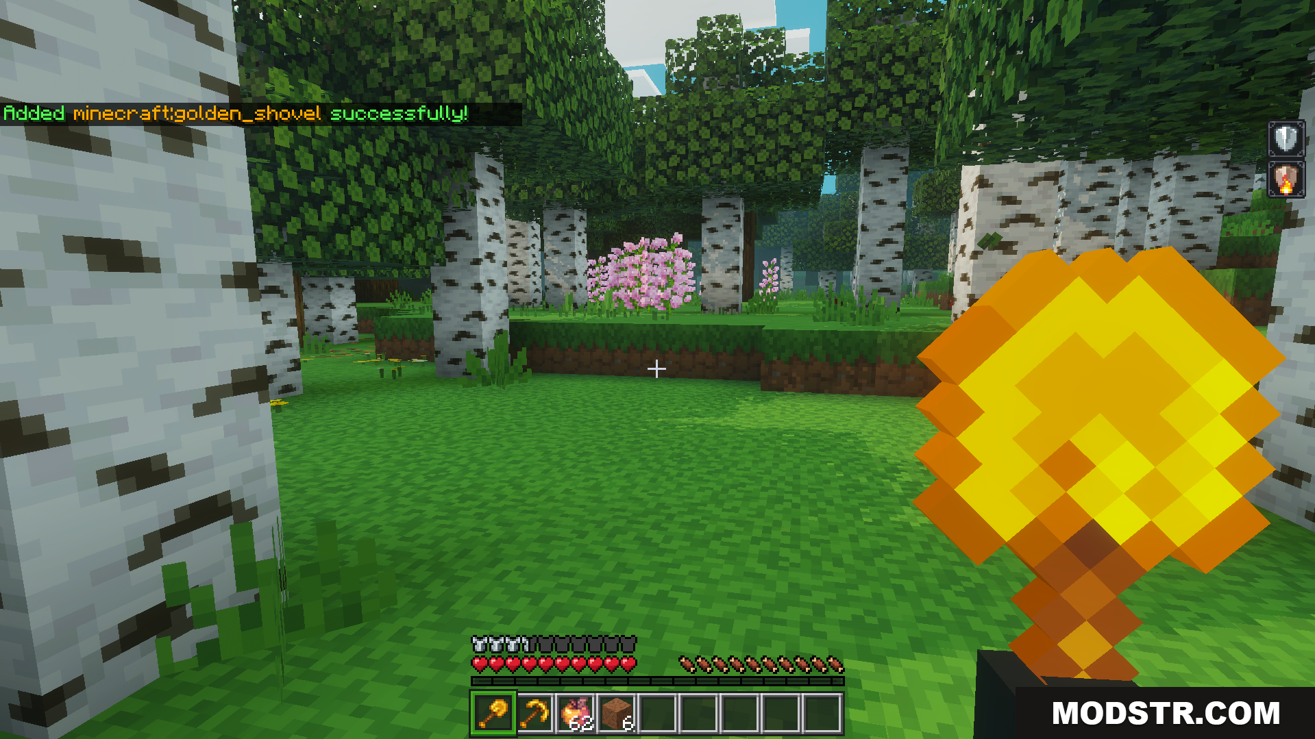 TrayePlays Unbreakable Items Addon Screenshot 5 Player holding a golden shovel in a birch forest