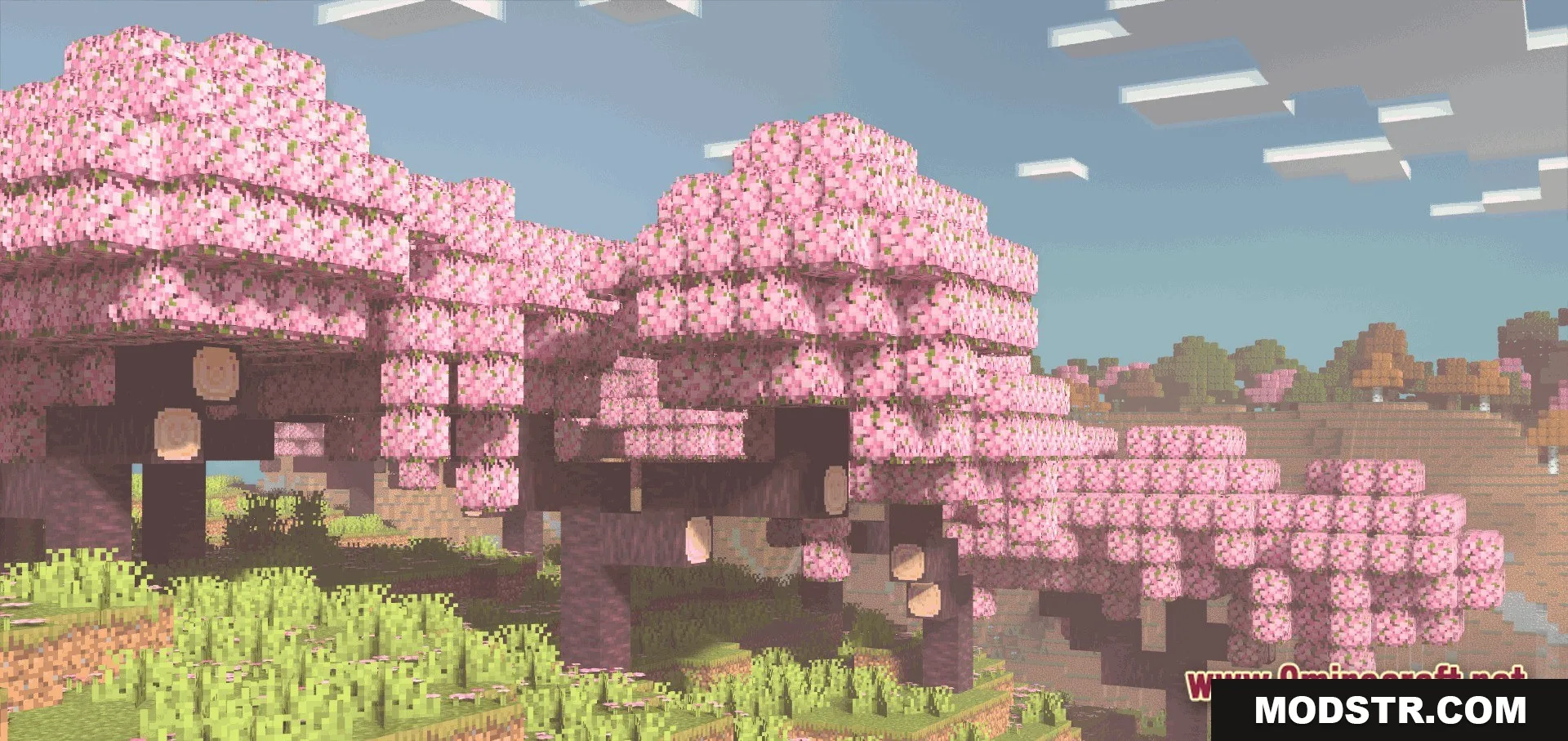 Trees Plus+ Better Texture Pack (1.21, 1.20) – Realistic Bushy Foliage cover art