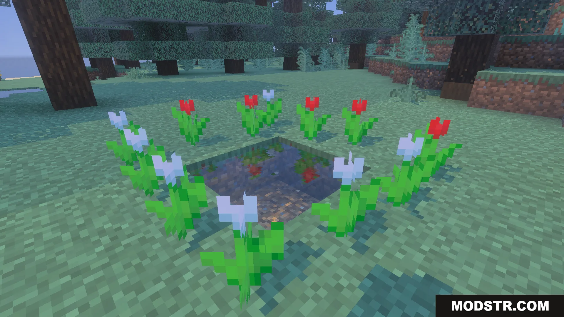 Twilight Abyss Dimension Addon Screenshot 3 Small water pool surrounded by red and white tulips in a forest biome